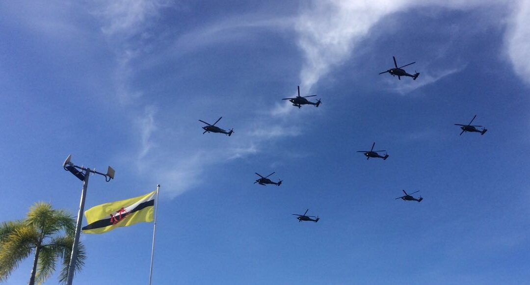 FORMATION FLYPAST FOR HIS MAJESTY 71ST BIRTHDAY