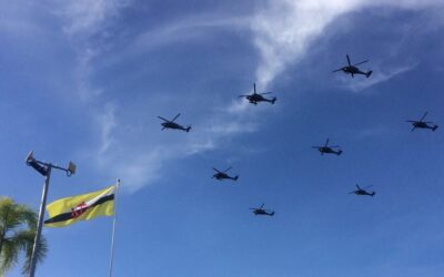 FORMATION FLYPAST FOR HIS MAJESTY 71ST BIRTHDAY